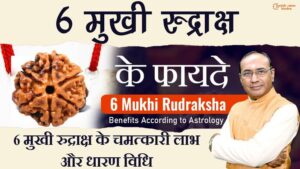 6 Mukhi Rudraksh Ke Fayde - किसे और कैसे धारण करना चाहिए 6 मुखी रुद्राक्ष