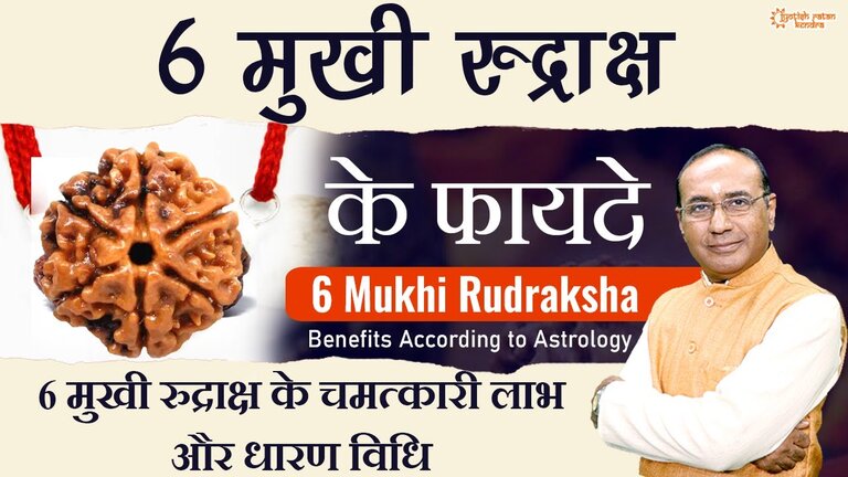 6 Mukhi Rudraksh Ke Fayde - किसे और कैसे धारण करना चाहिए 6 मुखी रुद्राक्ष