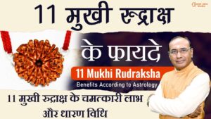 11 Mukhi Rudraksh Ke Fayde - किसे और कैसे धारण करना चाहिए 11 मुखी रुद्राक्ष