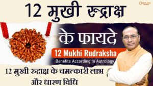 12 mukhi rudraksh ke fayde