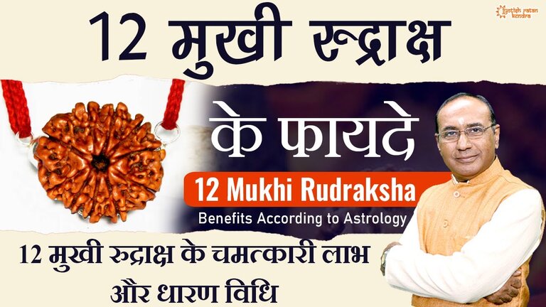 12 mukhi rudraksh ke fayde