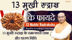 13 Mukhi Rudraksh Ke Fayde - किसे और कैसे धारण करना चाहिए 13 मुखी रुद्राक्ष
