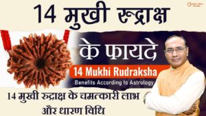 14 Mukhi Rudraksh Ke Fayde